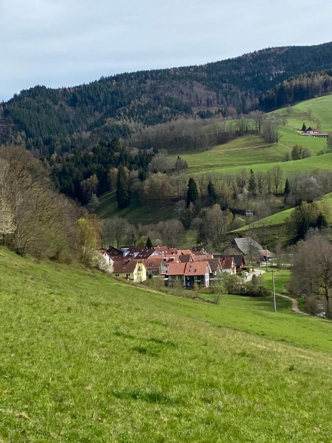 Schwarzwaldglueck Apartment Oberried  Εξωτερικό φωτογραφία