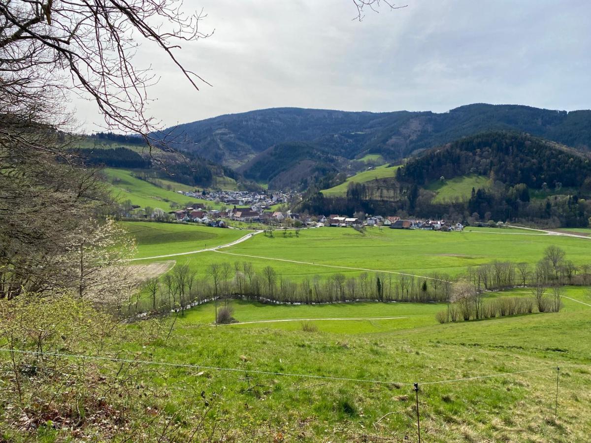Schwarzwaldglueck Apartment Oberried  Εξωτερικό φωτογραφία